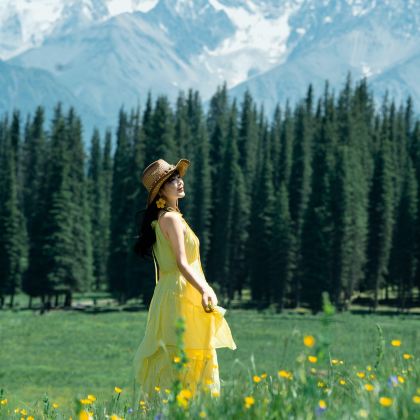 新疆乌鲁木齐+北疆+伊犁+赛里木湖9日8晚拼小团 新疆乌鲁木齐+北疆+伊犁+赛里木湖9日8晚拼小团