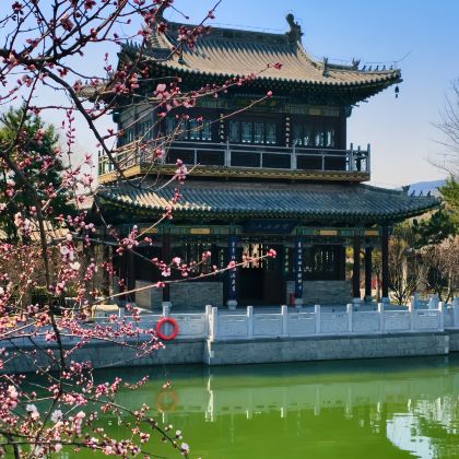 山西太原+五台山+云冈石窟+平遥古城+山西黄河壶口瀑布旅游区+山西王家大院8日7晚拼小团 山西太原+五台山+云冈石窟+平遥古城+山西黄河壶口瀑布旅游区+山西王家大院8日7晚拼小团