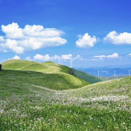 黄果树景区+织金洞+阿西里西韭菜坪7日6晚私家团 黄果树景区+织金洞+阿西里西韭菜坪7日6晚私家团