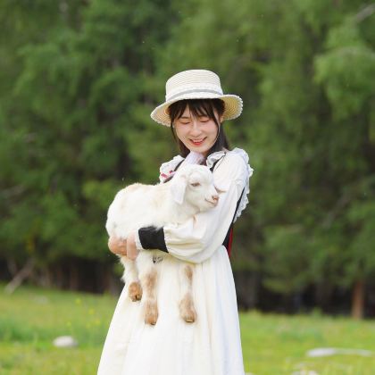 新疆北疆+乌鲁木齐+禾木风景区+喀纳斯景区+赛里木湖10日9晚拼小团 新疆北疆+乌鲁木齐+禾木风景区+喀纳斯景区+赛里木湖10日9晚拼小团