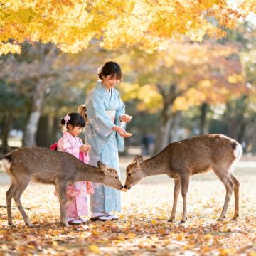 日本大阪+京都7日6晚私家团 日本大阪+京都7日6晚私家团