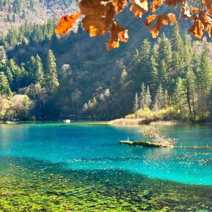 成都+九寨沟+黄龙风景名胜区5日4晚自由行 成都+九寨沟+黄龙风景名胜区5日4晚自由行