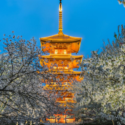 恩施大峡谷+武汉+黄鹤楼6日5晚私家团 恩施大峡谷+武汉+黄鹤楼6日5晚私家团