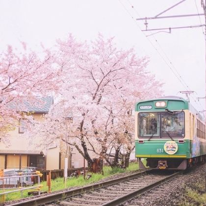 深度人文·日本九州+黑川温泉+熊本城6日5晚私家团