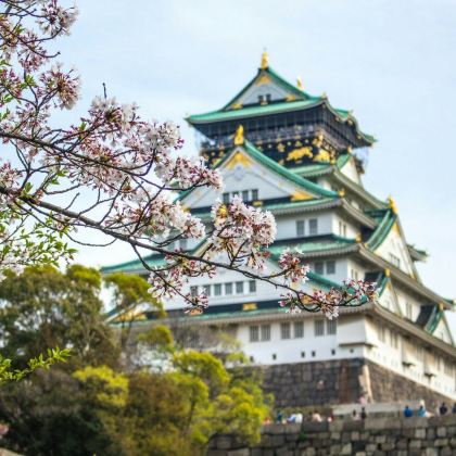 日本东京+富士山+大阪+京都+奈良市8日7晚拼小团 日本东京+富士山+大阪+京都+奈良市8日7晚拼小团