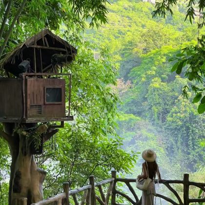 广西南宁+德天瀑布+明仕田园+伏那秘境+白头叶猴生态旅游区+钦州+三娘湾5日4晚自由行 广西南宁+德天瀑布+明仕田园+伏那秘境+白头叶猴生态旅游区+钦州+三娘湾5日4晚自由行