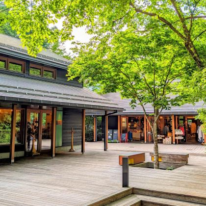 日本东京+日光市+轻井泽町5日4晚拼小团 日本东京+日光市+轻井泽町5日4晚拼小团