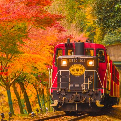 日本大阪府+京都+奈良+神户+和歌山市8日7晚私家团 日本大阪府+京都+奈良+神户+和歌山市8日7晚私家团