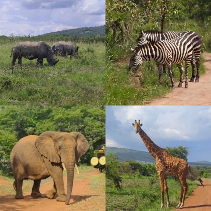 卢旺达+Akagera National Park Rwanda3日2晚跟团游 卢旺达+Akagera National Park Rwanda3日2晚跟团游