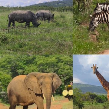 卢旺达+Akagera National Park Rwanda3日2晚跟团游 卢旺达+Akagera National Park Rwanda3日2晚跟团游