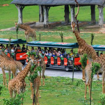 广州+顺德区+东莞8日自由行 广州+顺德区+东莞8日自由行