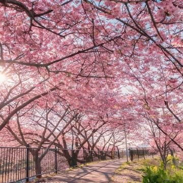 日本九州6日5晚私家团 日本九州6日5晚私家团