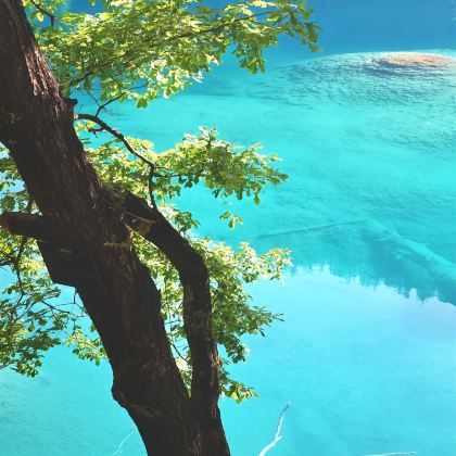 成都+九寨沟+三星堆博物馆+黄龙风景名胜区5日4晚私家团 成都+九寨沟+三星堆博物馆+黄龙风景名胜区5日4晚私家团