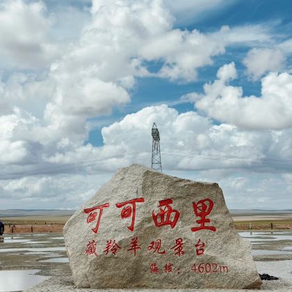 青海西宁+格尔木+可可西里国家级自然保护区+青海湖景区+茶卡盐湖+莫高窟+张掖9日8晚拼小团 青海西宁+格尔木+可可西里国家级自然保护区+青海湖景区+茶卡盐湖+莫高窟+张掖9日8晚拼小团