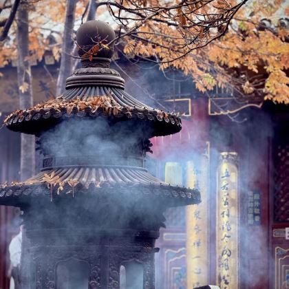 山西太原+五台山+大同+平遥+壶口瀑布6日5晚跟团游 山西太原+五台山+大同+平遥+壶口瀑布6日5晚跟团游