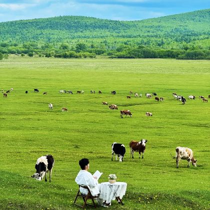 内蒙古呼伦贝尔+海拉尔+额尔古纳+满洲里+阿尔山8日7晚拼小团 内蒙古呼伦贝尔+海拉尔+额尔古纳+满洲里+阿尔山8日7晚拼小团