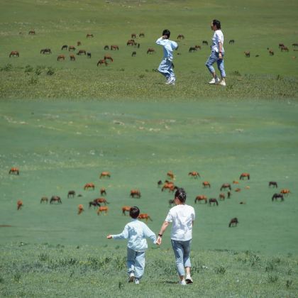 辉腾锡勒草原+乌兰哈达火山地质公园+黄花沟草原旅游度假区2日1晚跟团游 辉腾锡勒草原+乌兰哈达火山地质公园+黄花沟草原旅游度假区2日1晚跟团游