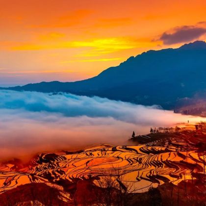 昆明+普者黑景区+元阳+抚仙湖+东川红土地5日4晚私家团 昆明+普者黑景区+元阳+抚仙湖+东川红土地5日4晚私家团
