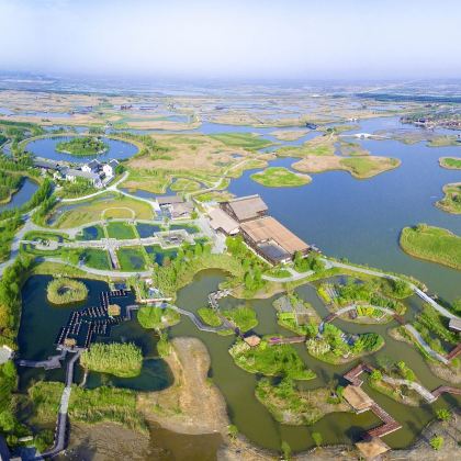 杭州湾国家湿地公园+宁波方特东方神画+杭州湾海皮岛水世界3日2晚拼小团 杭州湾国家湿地公园+宁波方特东方神画+杭州湾海皮岛水世界3日2晚拼小团