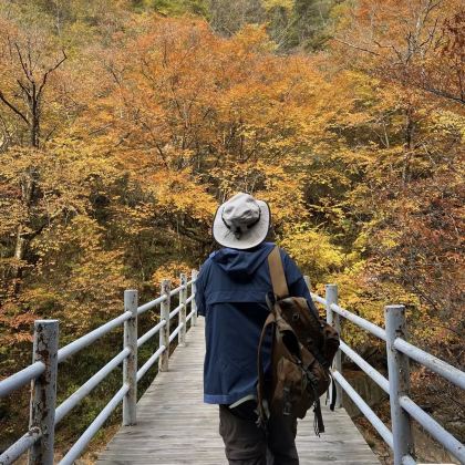 阆中古城+光雾山+米仓山国家森林公园+南龛石窟4日3晚私家团