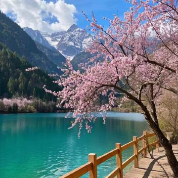 成都+九寨沟+黄龙风景名胜区5日4晚私家团 成都+九寨沟+黄龙风景名胜区5日4晚私家团