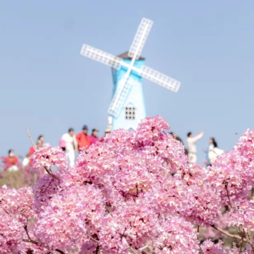 江西庐山3日2晚拼小团 江西庐山3日2晚拼小团