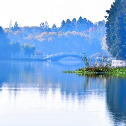 武汉+黄鹤楼+湖北省博物馆+东湖+宜昌+交运两坝一峡游船+三峡大坝旅游区5日4晚跟团游 武汉+黄鹤楼+湖北省博物馆+东湖+宜昌+交运两坝一峡游船+三峡大坝旅游区5日4晚跟团游