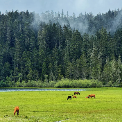 丽江+香格里拉+稻城亚丁+泸沽湖8日7晚私家团 丽江+香格里拉+稻城亚丁+泸沽湖8日7晚私家团