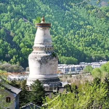 山西五台山4日3晚跟团游 山西五台山4日3晚跟团游