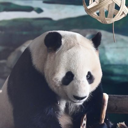 新乡2日1晚私家团 新乡2日1晚私家团