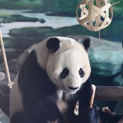 新乡2日1晚私家团 新乡2日1晚私家团