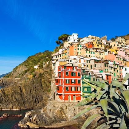 德国+意大利+瑞士+奥地利13日12晚跟团游 德国+意大利+瑞士+奥地利13日12晚跟团游