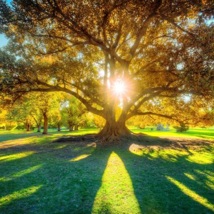 澳大利亚阿德莱德11日9晚私家团 澳大利亚阿德莱德11日9晚私家团