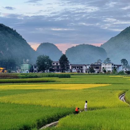 贵阳+黄果树景区+荔波小七孔景区+西江千户苗寨+兴义+马岭河峡谷景区+万峰林景区+万峰湖7日6晚私家团 贵阳+黄果树景区+荔波小七孔景区+西江千户苗寨+兴义+马岭河峡谷景区+万峰林景区+万峰湖7日6晚私家团