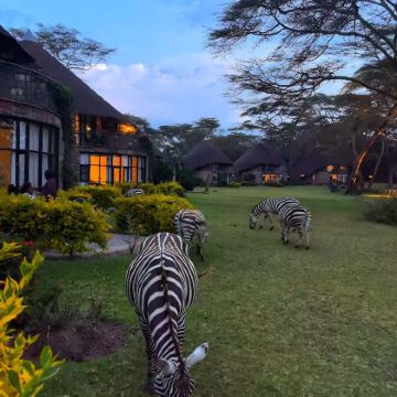 博茨瓦纳+赞比亚9日8晚私家团 博茨瓦纳+赞比亚9日8晚私家团