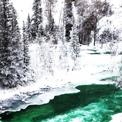 新疆北疆+阿勒泰市+阿勒泰地区+喀纳斯景区+禾木风景区3日2晚拼小团 新疆北疆+阿勒泰市+阿勒泰地区+喀纳斯景区+禾木风景区3日2晚拼小团