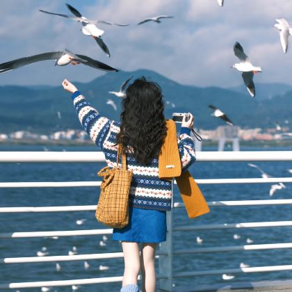 青岛+威海+烟台+蓬莱区5日4晚私家团 青岛+威海+烟台+蓬莱区5日4晚私家团