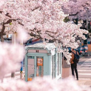 韩国首尔5日4晚自由行 韩国首尔5日4晚自由行