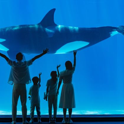 广州长隆+珠海长隆5日4晚私家团 广州长隆+珠海长隆5日4晚私家团