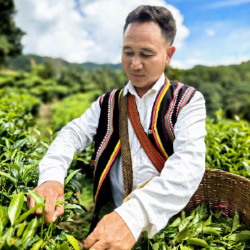 西双版纳+普洱7日6晚自由行 西双版纳+普洱7日6晚自由行