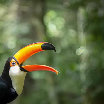 巴西+秘鲁+智利+乌拉圭+阿根廷24日20晚跟团游 巴西+秘鲁+智利+乌拉圭+阿根廷24日20晚跟团游