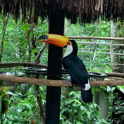 巴西+阿根廷+智利15日14晚私家团 巴西+阿根廷+智利15日14晚私家团