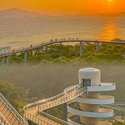 厦门+鼓浪屿+集美4日3晚跟团游 厦门+鼓浪屿+集美4日3晚跟团游