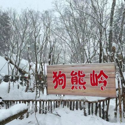 哈尔滨+长白山6日5晚私家团 哈尔滨+长白山6日5晚私家团