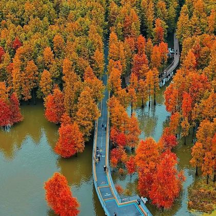 浙江杭州+绩溪+宁国+宣城5日4晚自由行 浙江杭州+绩溪+宁国+宣城5日4晚自由行