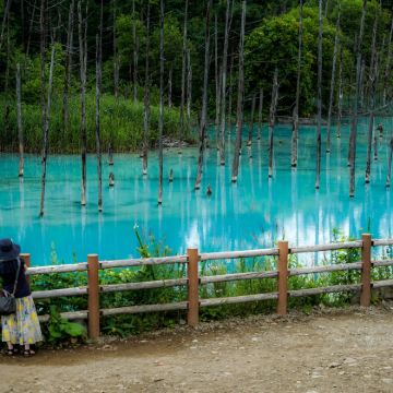 日本北海道札幌+登别熊牧场+函馆山+洞爷湖游览船+小樽天狗山+旭山动物园8日7晚拼小团 日本北海道札幌+登别熊牧场+函馆山+洞爷湖游览船+小樽天狗山+旭山动物园8日7晚拼小团