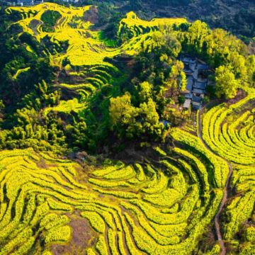 江西南昌+庐山风景名胜区+景德镇+婺源+望仙谷+龙虎山风景名胜区6日5晚私家团 江西南昌+庐山风景名胜区+景德镇+婺源+望仙谷+龙虎山风景名胜区6日5晚私家团