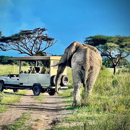 肯尼亚12日11晚私家团 肯尼亚12日11晚私家团