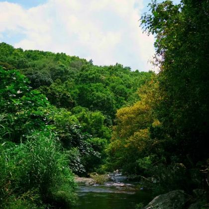 三亚+梦幻香山旅游区+海南百花岭热带雨林文化旅游区5日4晚私家团 三亚+梦幻香山旅游区+海南百花岭热带雨林文化旅游区5日4晚私家团