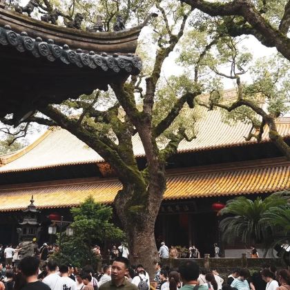 普陀山风景区2日1晚私家团 普陀山风景区2日1晚私家团
